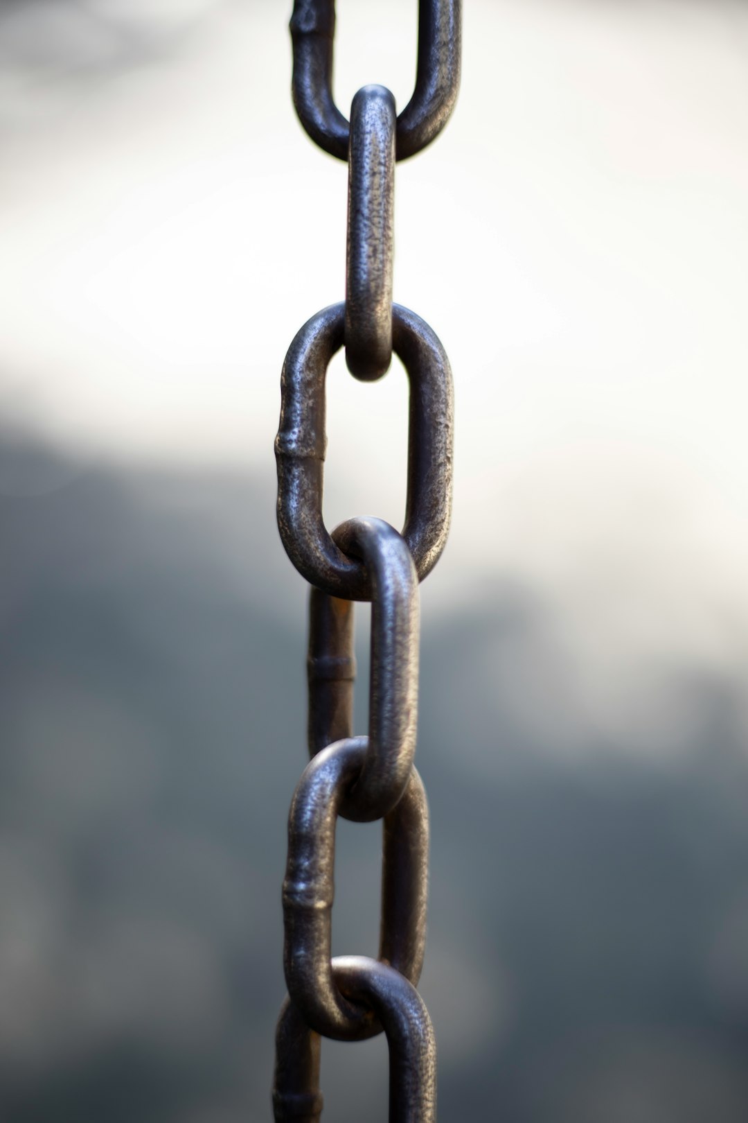 What Auditors Check in Supply Chain